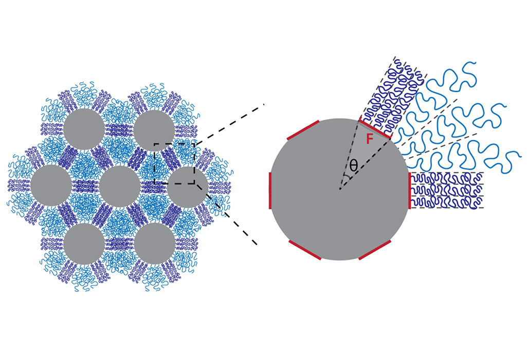 Silica nanoparticles affixed with a distribution of polystyrene chains (purple) self-assemble into hexagonal lattices. Depending on how the chains are organized on the particle surface, they tangle together (purple) or unravel (blue) when compressed.