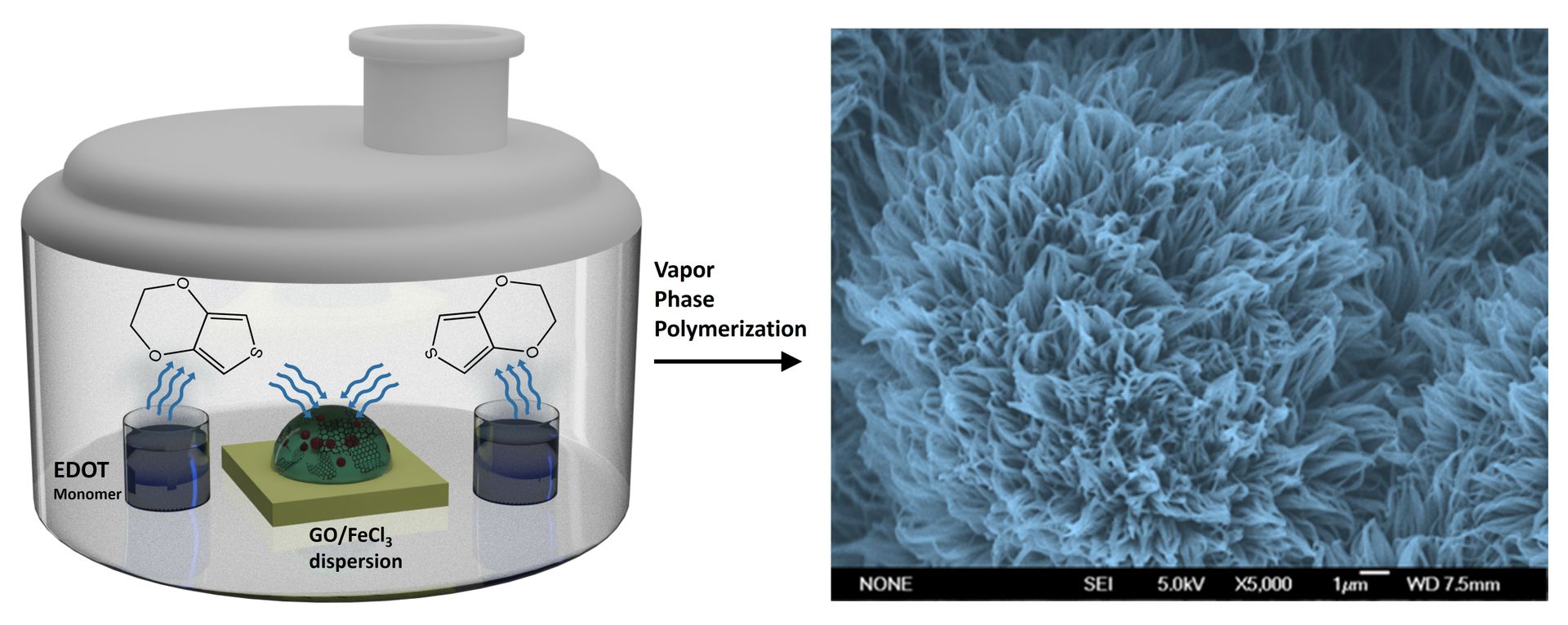 An example of how EDOT monomer vapors react with a droplet of graphene oxide and ferric chloride to form PEDOT nanofibers.