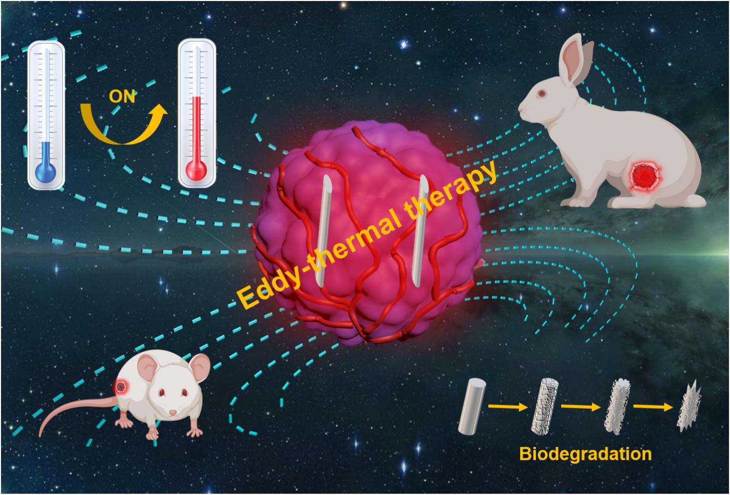 Schematic illustration of MHT based on the eddy thermal effect of the biodegradable MgA rods. @ Science China Press