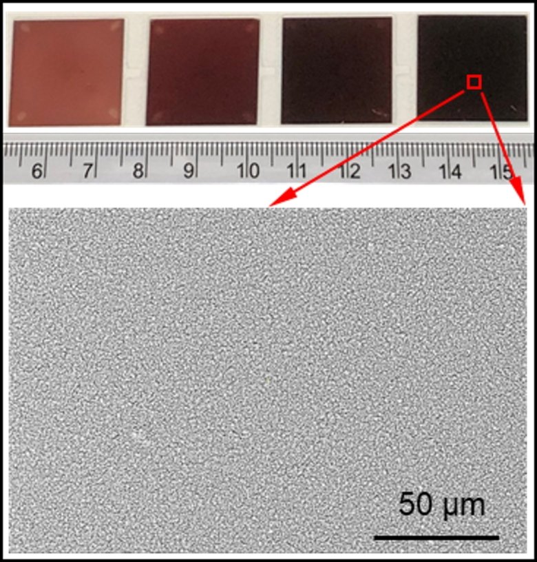 A photo of four nano-sensors and a scanning electron microscope image of the sensor surface. The sensor has a size of 22 x 22 mm and a uniform surface for highly reproducible tests. @ Haipeng Li and Georgios A Sotiriou