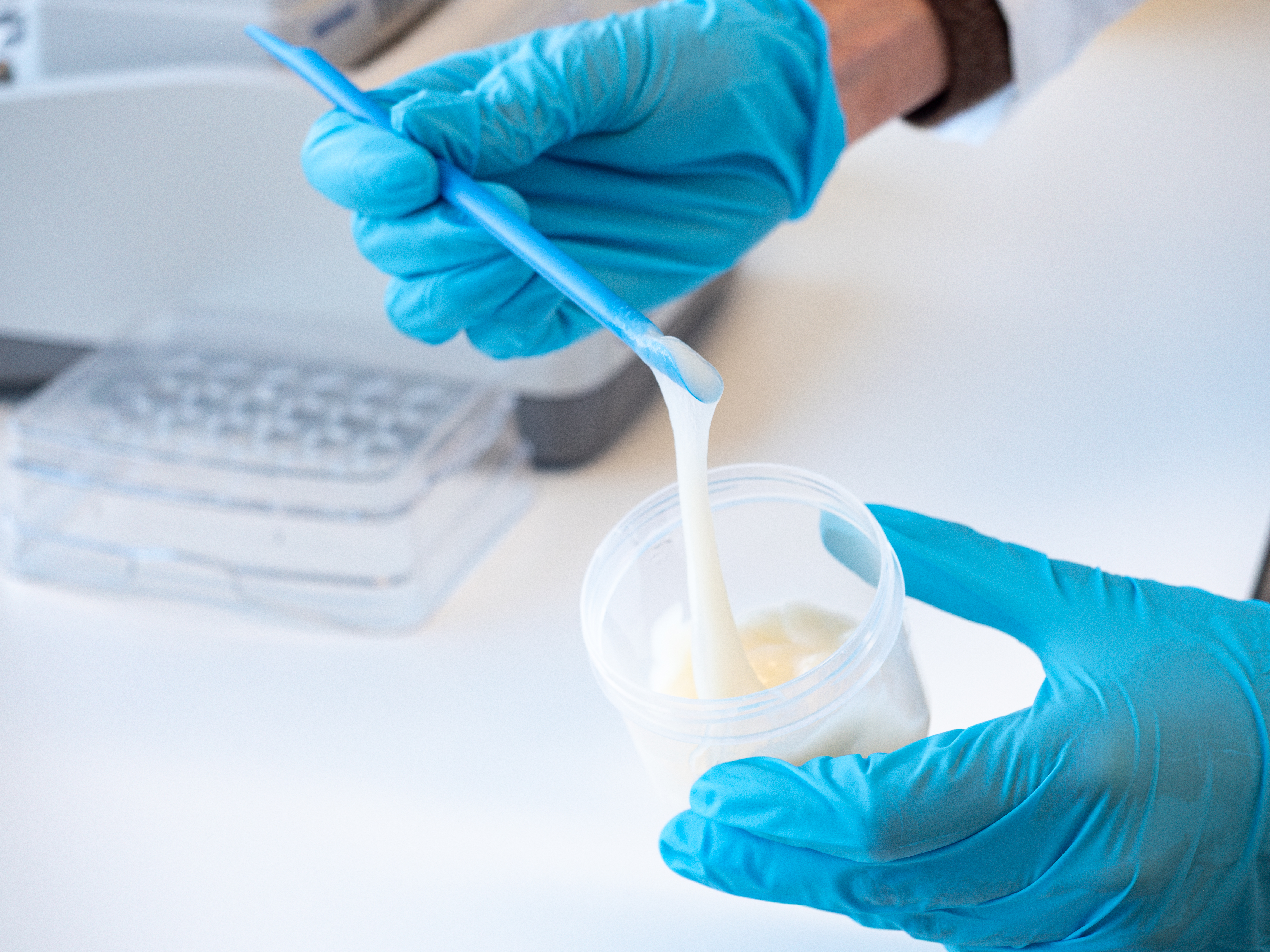Thanks to the auxiliary molecules in their extracellular matrix, the mycelial fibers are good natural emulsifiers – they are even safe to eat.