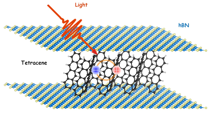 Schematic diagram of a 2D tetracene crystal interacting with light @ POSTECH