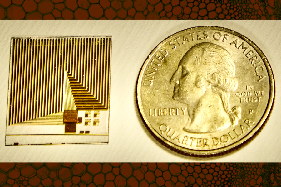 An MIT-led team designed a sensor that may be deployed to screen patients for hard-to-diagnose cancers, or metastatic tumors. The device draws inspiration from the membrane that surrounds all cells. @ MIT