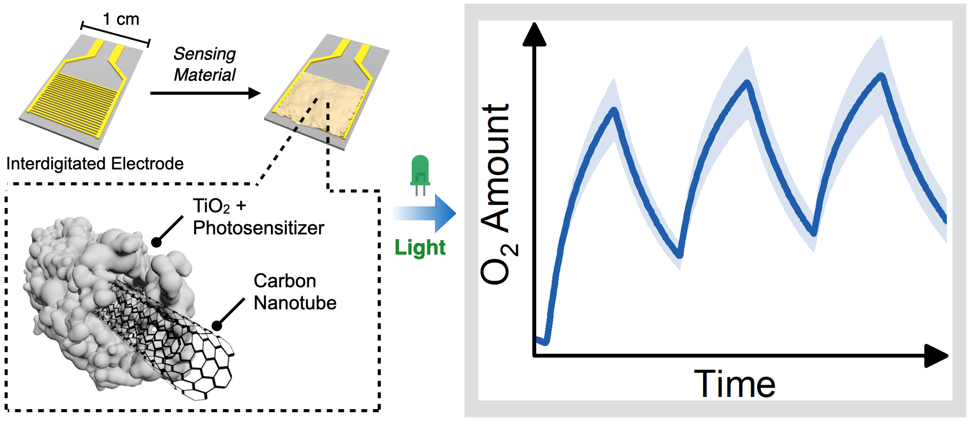 The sensor material is based on a composite of carbon nanotubes and titanium dioxide (TiO2). A dye (photosensitiser) captures green light and makes the sensor material sensitive to oxygen.