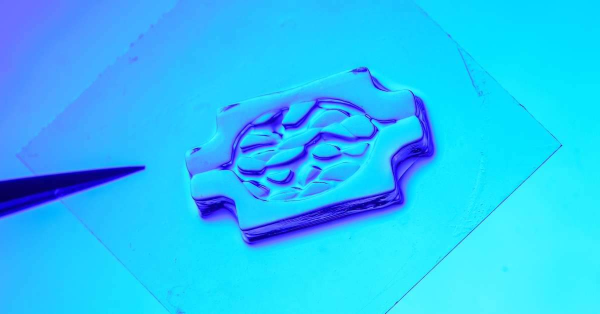 Using a new technique and a novel ingredient, UC San Diego engineers take on the light-scattering problem in a leading form of 3D-bioprinting. @ David Baillot for the Jacobs School of Engineering, UC San Diego.