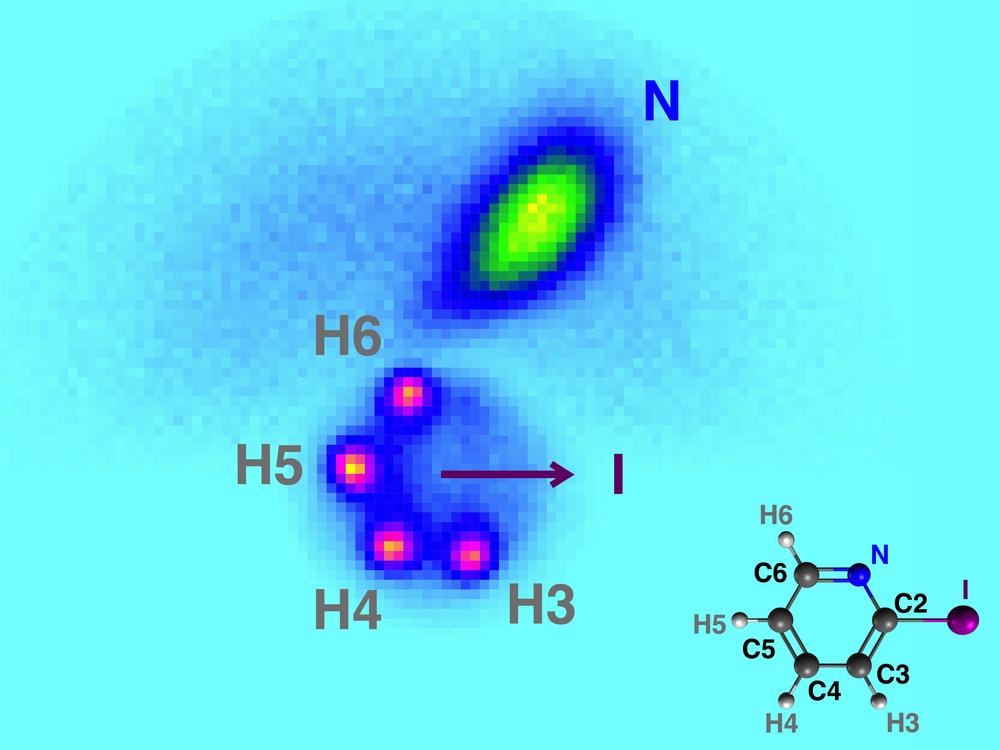 The image shows the momentum of individual atoms, here hydrogen (H) and nitrogen (N), of the iodopyridine molecule (shown on the bottom right). @ European XFEL, Rebecca Boll/Till Jahnke