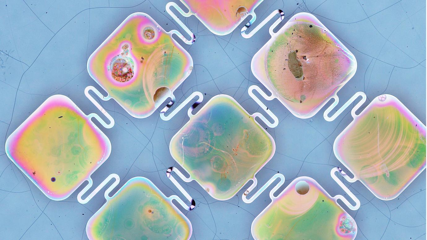 University of Chicago scientists invented an entirely new way to make a solar cell: by etching holes in the top layer to make it porous. Above, a microscope image of a silicon membrane after the etching process. @ Tian lab