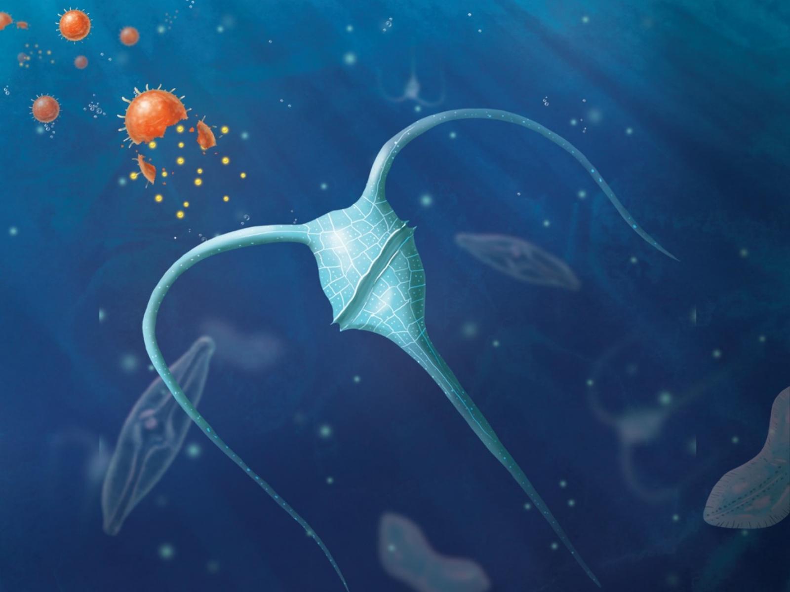 Seeding the oceans with nano-scale fertilizers could create a much-needed, substantial carbon sink. @ Stephanie King | Pacific Northwest National Laboratory