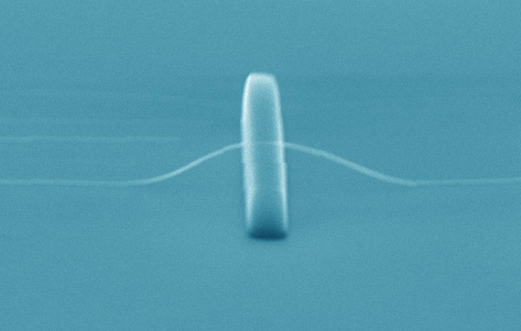 SEM (scanning electron microscope) image of a suspended nanowire. @ University of Massachusetts Amherst