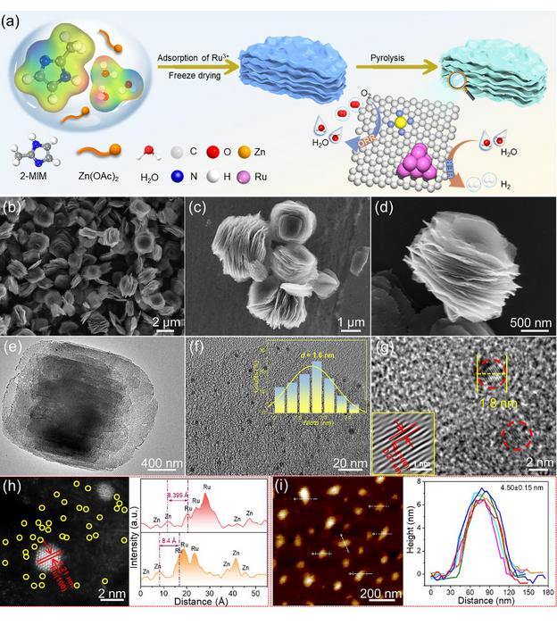(a) Schematic illustration of synthesis procedure for Ru@Zn-SAs/N-C catalysts, where the electrostatic potential diagram of the iso-surface value is 0.03 e Å-3; (b-d) SEM images with different magnification; (e) TEM image; (f-g) HRTEM images, (f) the inset is the corresponding particle-size distribution of Ru clusters and (g) the inset shows the Moiré images extracted from the FFT; (h) AC HADDF-STEM image and integrated pixel intensities; (i) AFM image and corresponding height profiles of Ru@Zn-SAs/N-C.