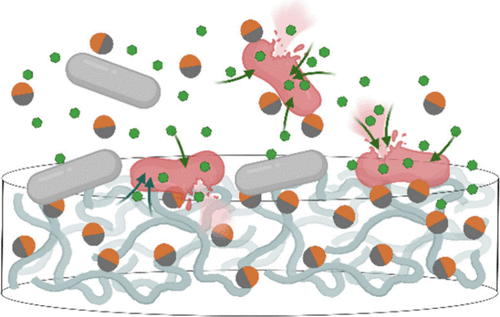 An illustration of two-sided nanoparticles adhering to bacteria.