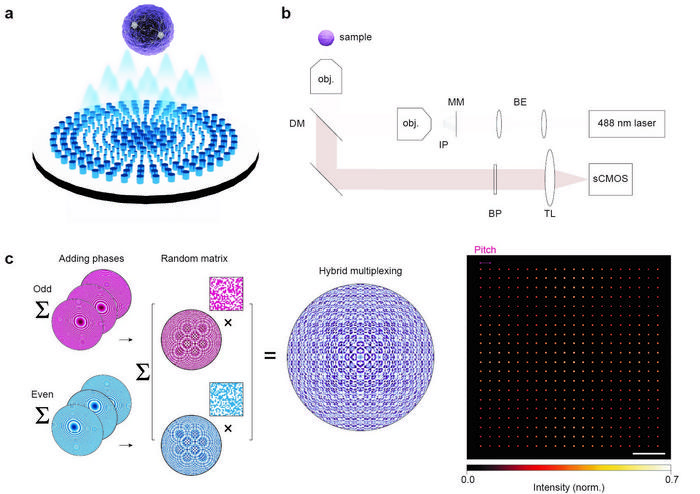 Figure. 1 | Working principle of the multifocal metalens. a, An illustration of the multifocal metalens. b, an illustration of the MMISM setup. MM, multifocal metalens; IP, intermediate image plane; BE, beam expander; DM, dichroic mirror; BP, bandpass filter; TL, tube lens; obj., objective lens. c, schematics of hybrid multiplexing methods and representative simulated PSFs of multifocal arrays generated using hybrid multiplexing. The multifocal arrays were designed with parameters of 20 × 20 foci, 3 μm pitch, 0.7 NA at a wavelength of 488 nm. Scale bar: 10 AU.