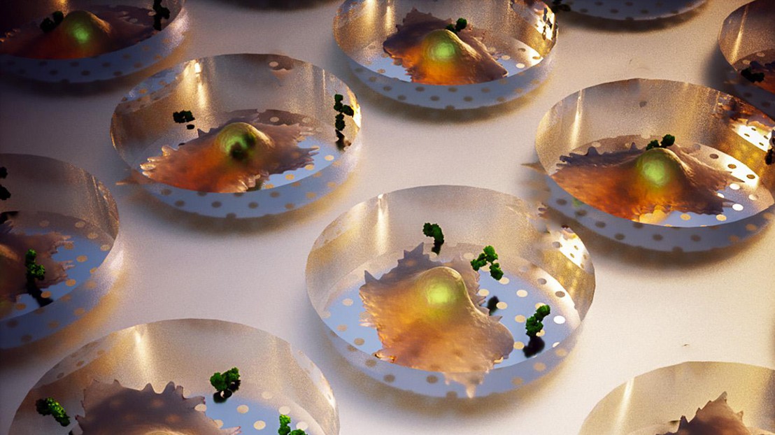 Single-cell microwell array. @ BIOS EPFL