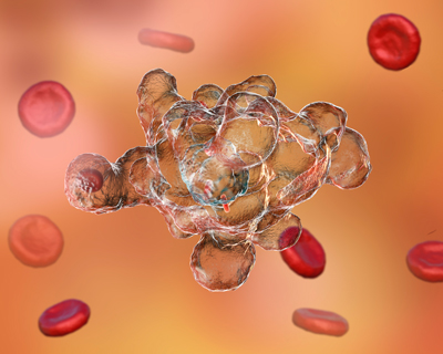 A computer-generated illustration of the parasitic amoeba Entamoeba histolytica engulfing red blood cells, which are an important source of iron for the parasite. A RIKEN researcher and collaborators have exploited the protozoan’s need for iron to develop a promising iron-targeting compound for combating it. @ KATERYNA KON/SCIENCE PHOTO LIBRARY