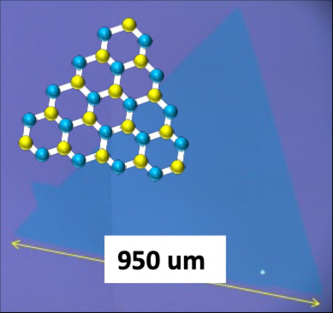 Typical monolayer and single crystal WS2 grown by a novel monitoring and analysis method. @ Toshiaki Kato
