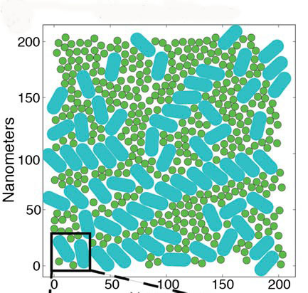 This first computational model to simulate multiple antenna proteins, photosystem II (PSII) complexes are shown in teals, and light harvesting complexes (LHC II) are shown in green.