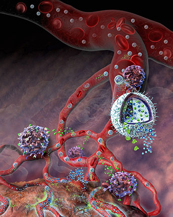 A cutaway illustration of the nanogel developed by professor Tarek Fahmy. The small particle can carry multiple drug agents to a specific target, such as the site of a tumor. (Illustration by Nicolle Rager Fuller, NSF)