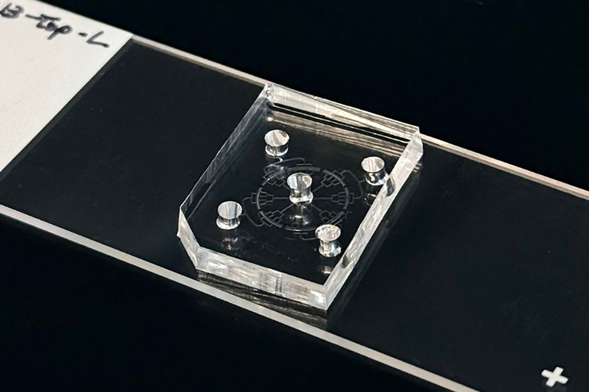This microfluidic device squeezes mouse skin cells as they pass through, loosening their tightly packed DNA so CRISPR tools can reach and switch on genes to make cell reprogramming more efficient. Credit: Song Li Lab/UCLA