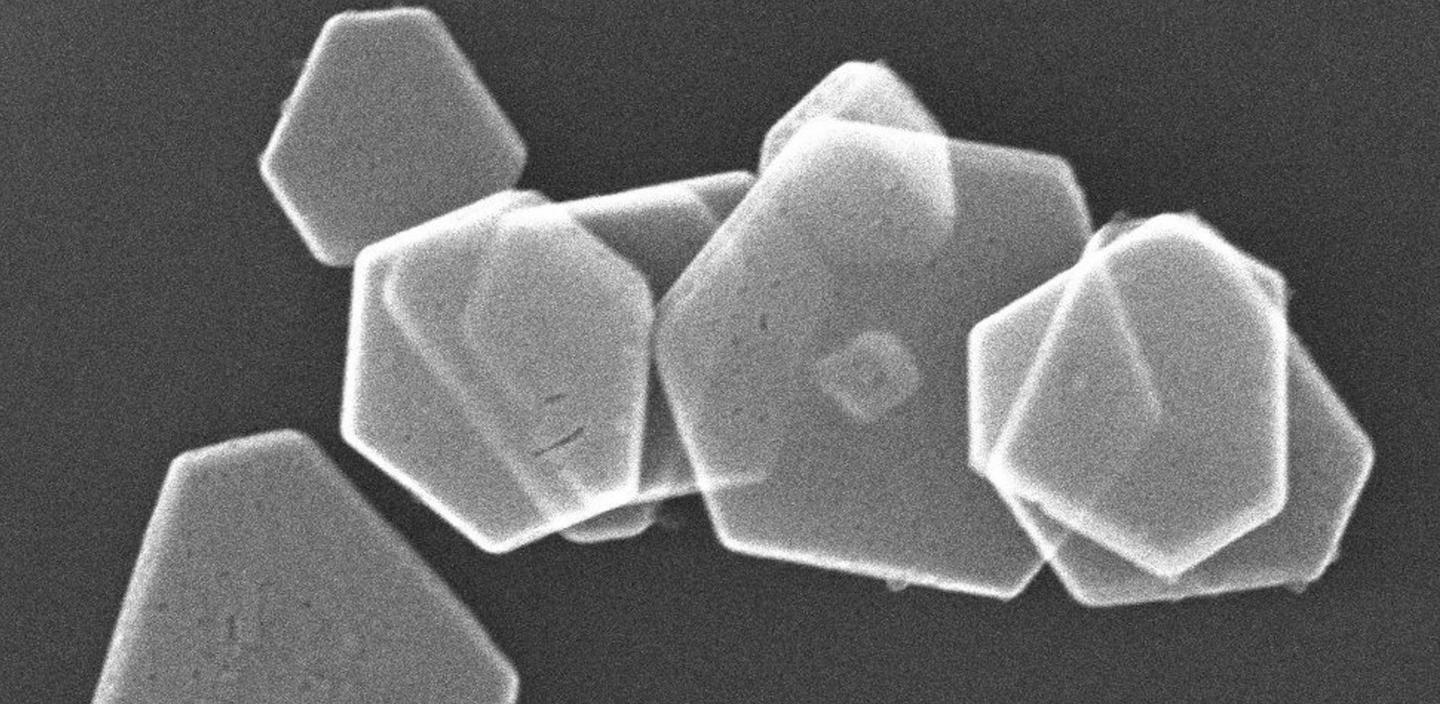 This is an electron microscopy image of hexagonal silver nanoplates formed by the biomineralization peptides fused with p53Tet. @ Photo by Kazuyasu Sakaguchi