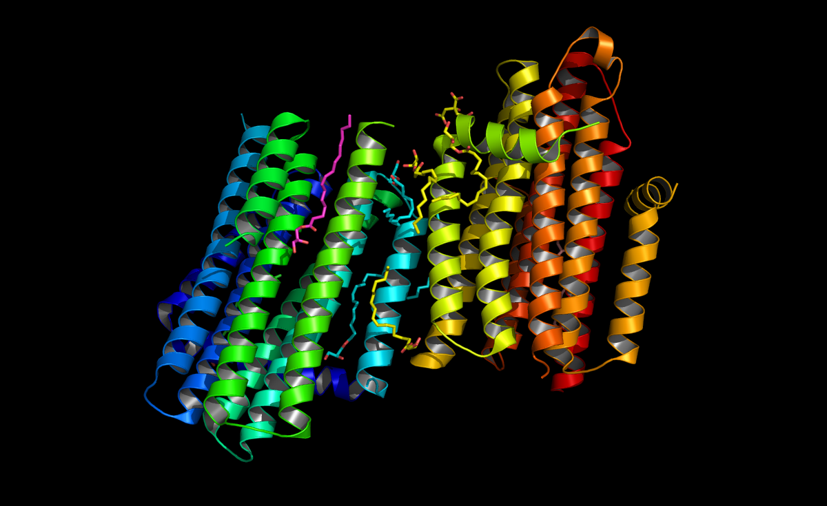 ”This graphic shows the structure of diacylglycerol kinase (DgkA) determined with the Free Electron Laser in Stanford, California. This new structure has been deposited in the protein data bank under the code 4UYO.