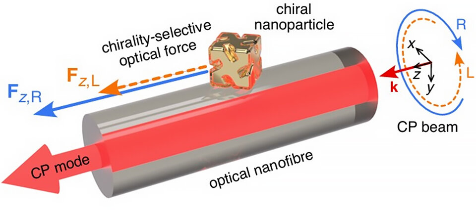 The image illustrates nanoparticles moving along an optical nanofiber under the influence of circularly polarized light. Chiral nanocubes near the fiber experience a force, which depends on both their handedness and the polarization of the light. @Dr. Mark Sadgrove from Tokyo University of Science, Japan Image source link: https://www.nature.com/articles/s41467-026-71585-8