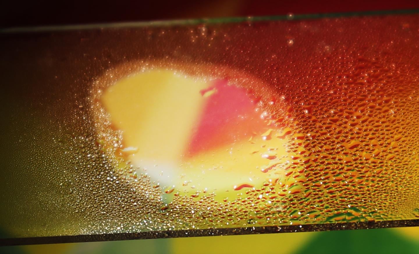 In the ETH lab, shining a light through the center of a transparent pane coated with nanoparticles prevents the lit area from fogging. @ ETH Zurich / Christopher Walker