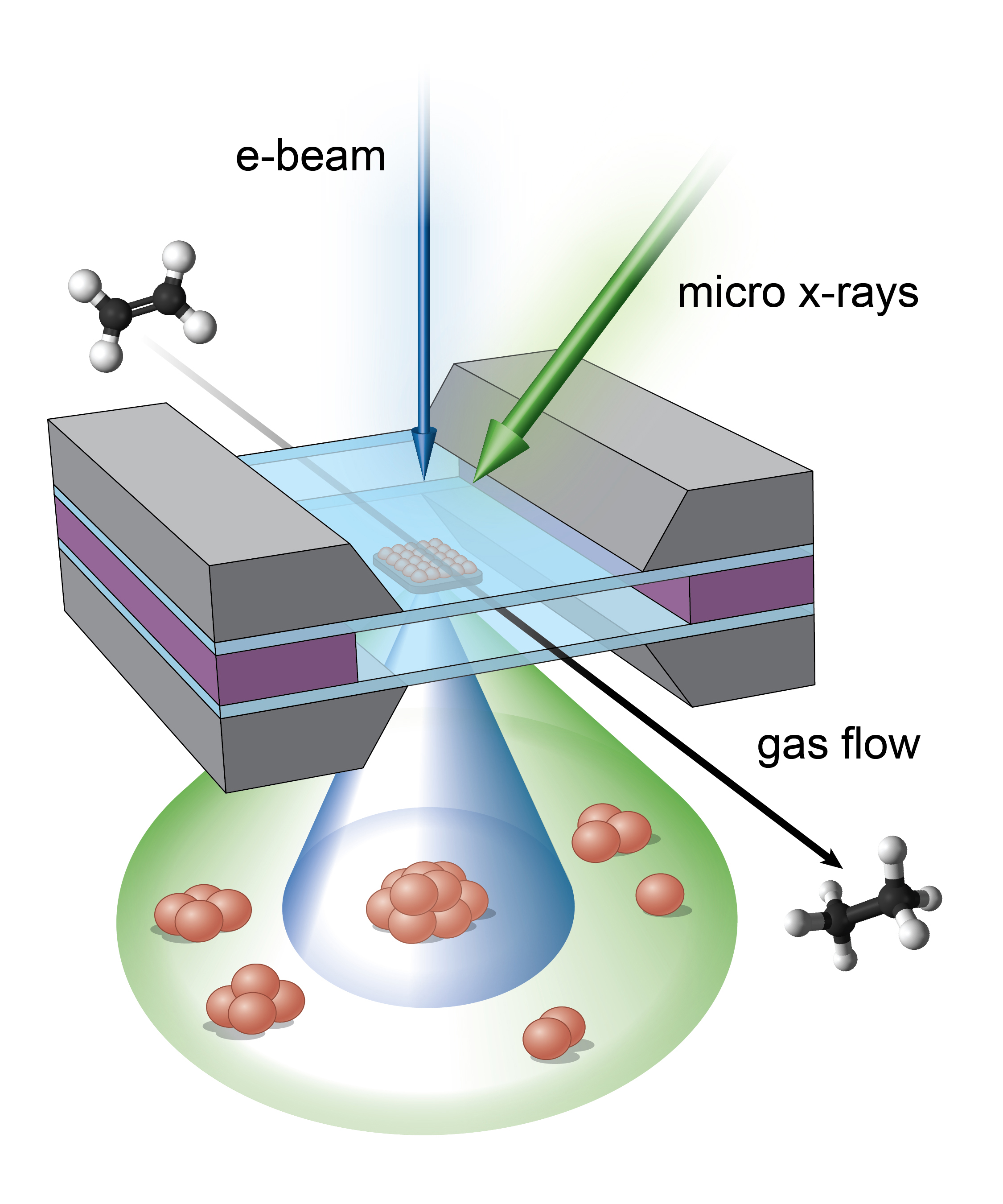 Illustration of the micro-reactor showing the complementary imaging areas of the electron beams (blue) and x-rays (green), which combine to reveal a full portrait of the real-time reaction.