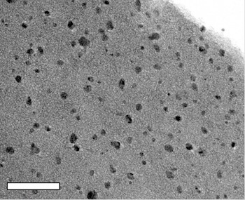 This scanning electron microscope image shows cobalt nanoparticles embedded in metal oxide-laser induced graphene. Courtesy of the Tour Group