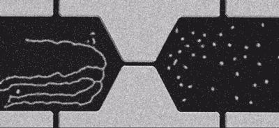 skyrmion-bubbles-2.gif
