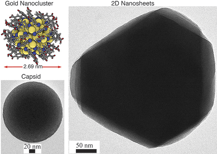 2D hexagonal sheet-like and 3D capsid structures based on atomically precise gold nanoclusters as guided by hydrogen bonding between the ligands. The inset in the top left corner shows the atomic structure of one gold nanocluster.