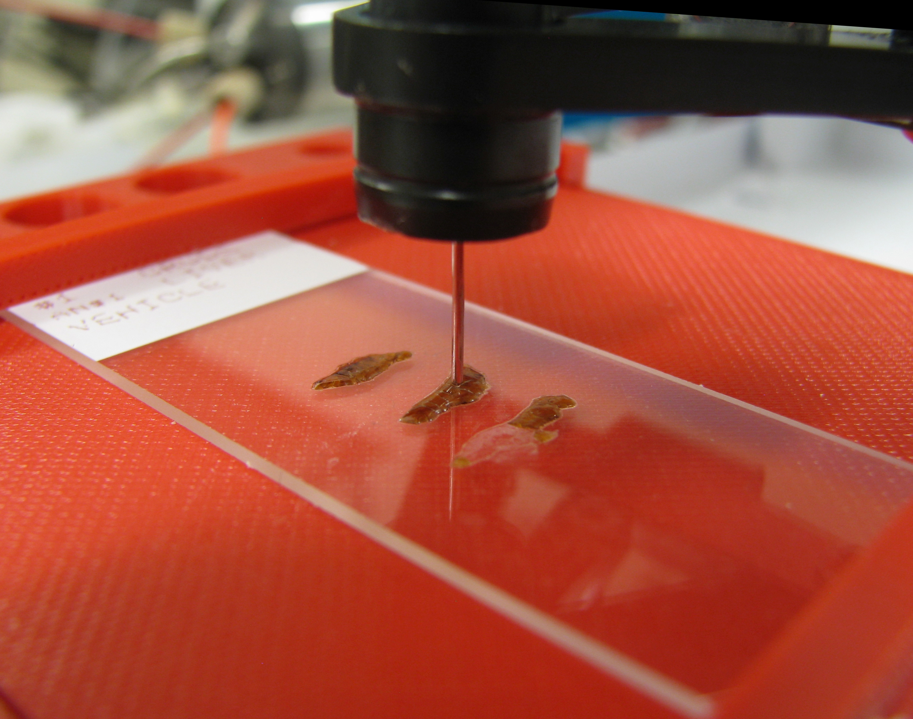 Oak Ridge National Laboratory’s new droplet-based surface sampling probe speeds the process of analyzing a liver biopsy sample.