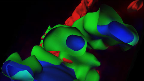 A team of UAB scientists has produced an alternative to the use of viruses in gene therapy. The researchers synthesised nanoparticles which act as artificial viruses, capable of surrounding DNA fragments and releasing them as therapeutic agents, with no biological risk, into the interior of the cells.