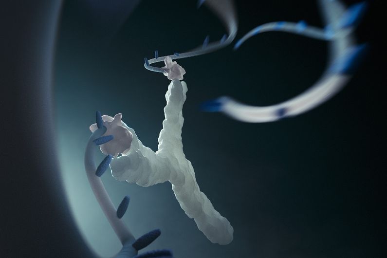 The molecular slingshot is composed of a synthetic DNA strand that can load a drug and then effectively act as the rubber band of the slingshot. @ MARCO TRIPODI