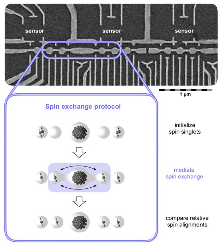 Researchers at the Niels Bohr Institute cooled a chip containing a large array of spin qubits below -273 Celsius. To manipulate individual electrons within the quantum-dot array, they applied fast voltage pulses to metallic gate electrodes located on the surface of the gallium-arsenide crystal (see scanning electron micrograph). Because each electron also carries a quantum spin, this allows quantum information processing based on the array's spin states (the arrows on the graphic illustration). During the mediated spin exchange, which only took a billionth of a second, two correlated electron pairs were coherently superposed and entangled over five quantum dots, constituting a new world record within the community. @ Ferdinand Kuemmeth