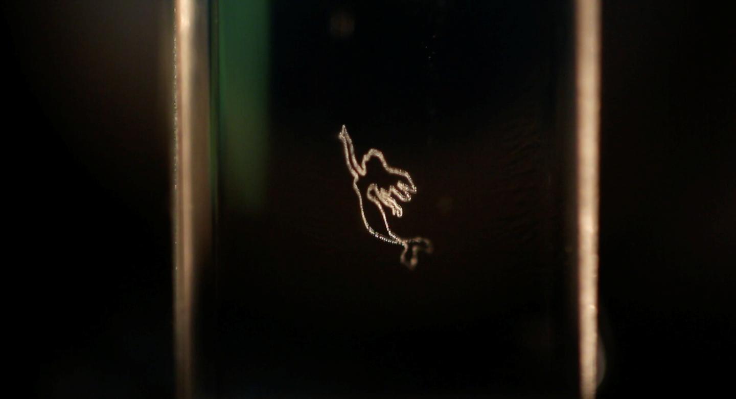 This mermaid graphic is created from laser-generated bubbles suspended in a liquid "screen" and illuminated with a halogen lamp. @ Kota Kumagai, Utsunomiya University