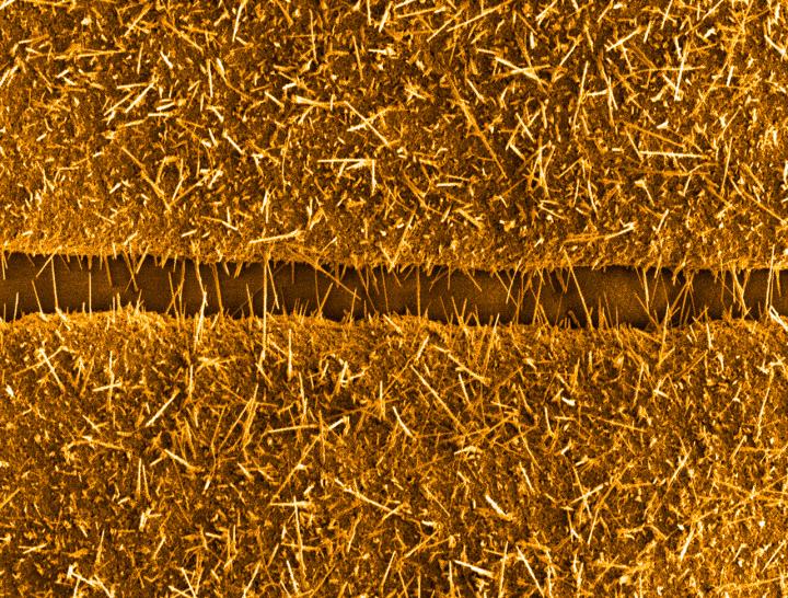 This is an adaptation of a scanning electron microscopy image of copper oxide nanowires bridging the gap between neighbouring copper microstructures Credit: OIST