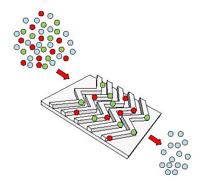 Schematic image showing how the antibody-coated surfaces of the EVHB-Chip capture red- and green-labeled tumor-specific extracellular vesicles from patient serum or plasma. @ Eduardo Reátegui, PhD, Center for Engineering in Medicine, Massachusetts General Hospital