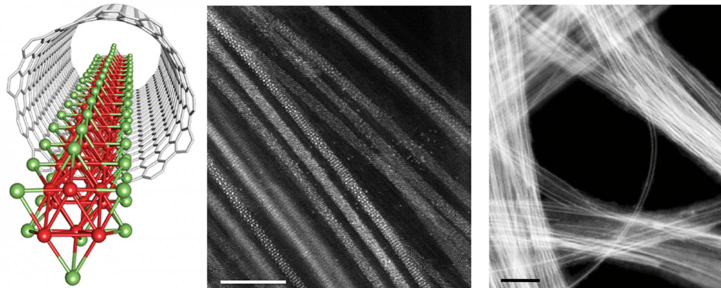 This is a schematic and electron microscopy images of single wires of molybdenum telluride formed inside carbon nanotubes. These 1D reaction vessels are a good fit for the wires, and confine the chemical reactions which create them to one direction. Epitaxial (layer by layer) growth can then proceed along the inner walls of the tubes. @ Tokyo Metropolitan University