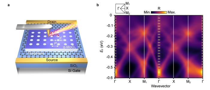 Figure | Dynamic tuning of Bloch modes in the α-MoO₃ PoC/graphene device. a, Schematic of an α-MoO3 PoC/graphene device, consisting of a square periodically perforated α-MoO3/graphene heterostructure on a SiO2 (285 nm)/Si substrate. b Theoretically calculated band structure of the α-MoO3 PoC as a function of EF at a fixed frequency of 931 cm−1. The yellow dashed lines indicate the free space light cone. Inset: the first Brillouin zone of the square-type PoC. Credit Tao Jiang et al.