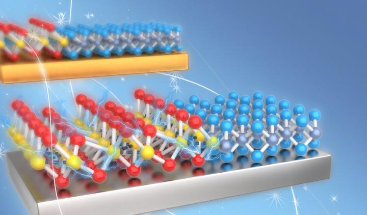 Molecules of monolayer molybdenum disulphide (MoS2) and tungsten diselenide (WSe2) on top of a metal substrate. @ National University of Singapore