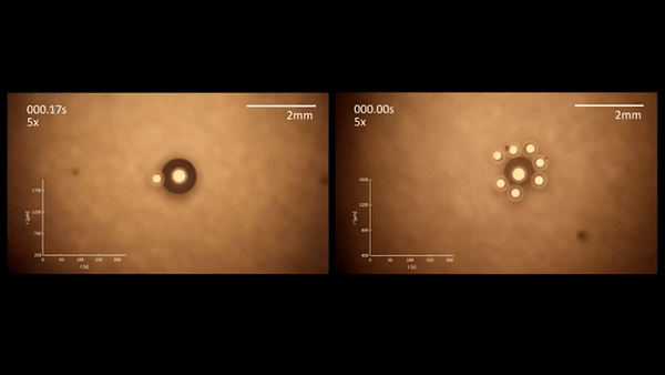 MIT chemical engineers have shown that specialized particles can oscillate together, demonstrating a phenomenon known as emergent behavior. @ MIT