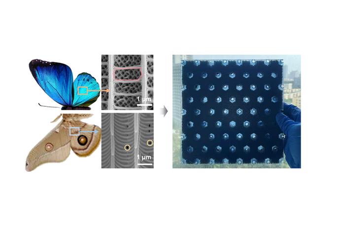 Inspired by the scale structures of lepidopteran insects, the multifunctional lattice metamaterial exhibits exceptional wave-field manipulation capabilities, enabling the integration of acoustic, mechanical, and electromagnetic functionalities within a unified architecture. Credit: Jianbin Feng§, Jing Qiao§, Yingdan Wu, Guangyu Zhang and Longqiu Li*