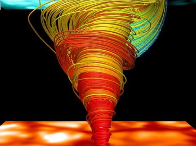 A potential cancer cell extruding from an epithelium. Courtesy of Selwin Wu, Yap Lab, UQ's Institute for Molecular Bioscience