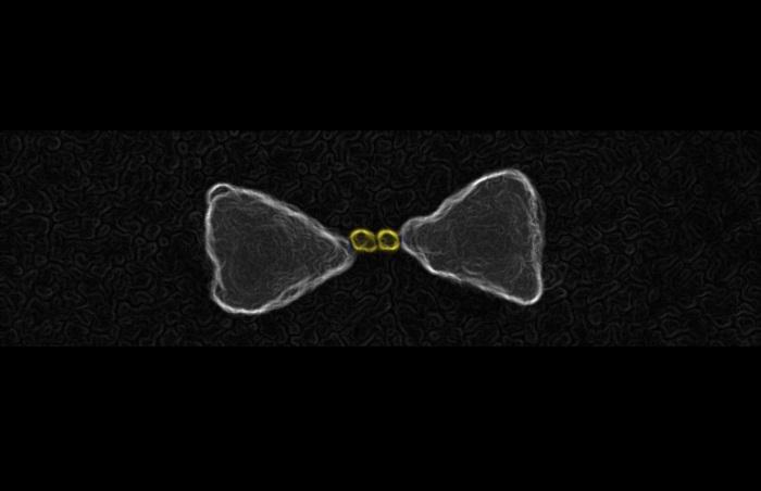 These are gold nanoparticles chemically guided inside the hot-spot of a larger gold bow-tie nanoantenna. @ E Cortes et al, 2017