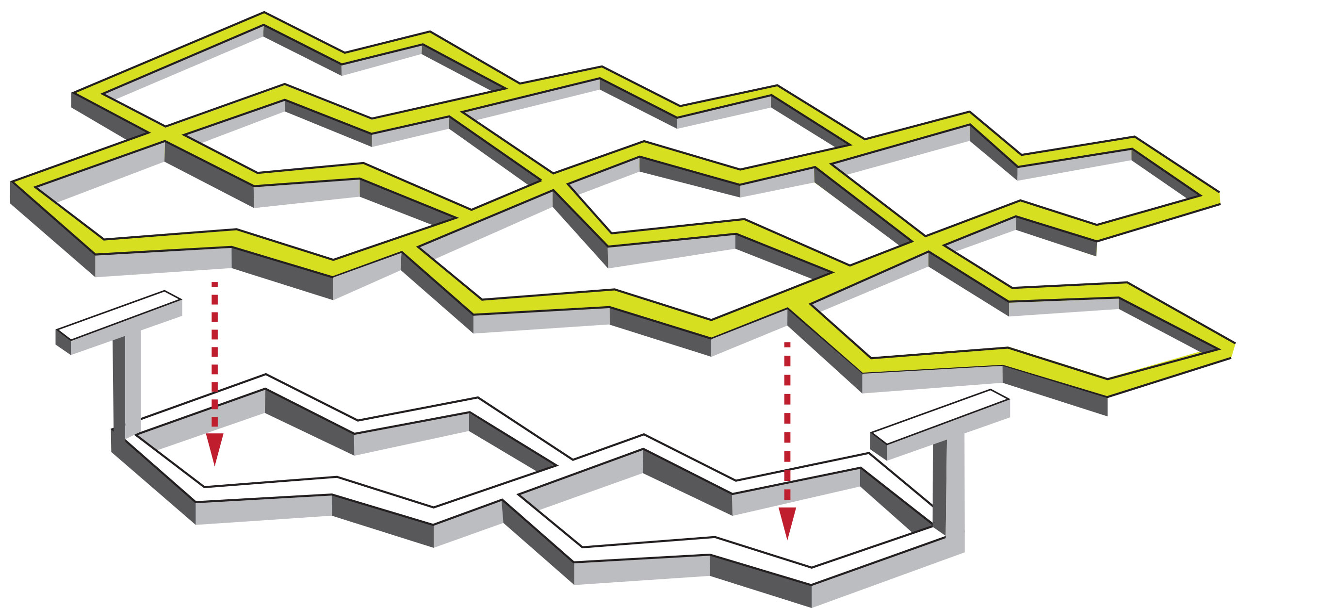 This diagram shows how T-shaped posts on one layer of a tissue scaffold pass through the holes in a second layer — similar to the hooks and loops used to fasten Velcro™ (Image: Raymond Cheah).