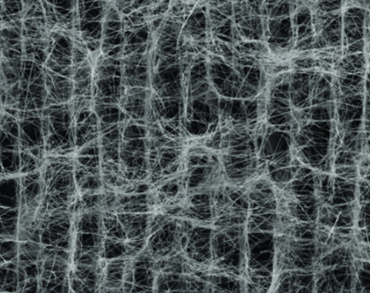 A scanning electron microscope image of a typical silver aerogel.