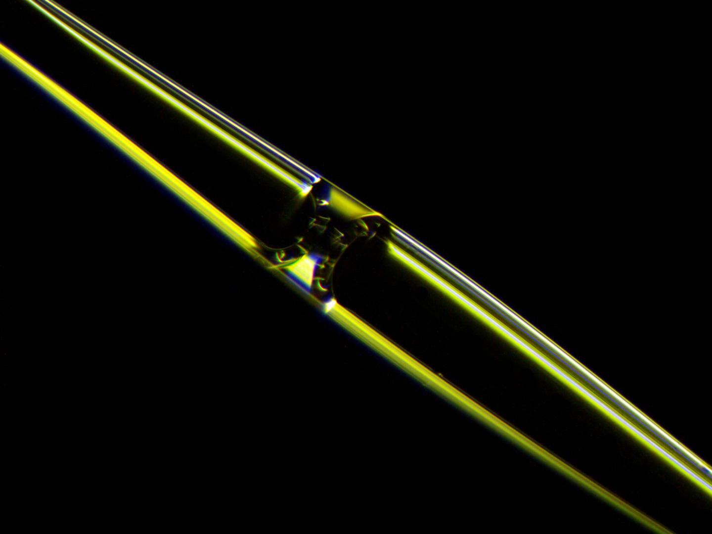 Photograph of a fluid meniscus inside an opto-mechano-fluidic resonator (OMFR) made of high purity silica glass. Particles flowing through the internal microchannel can be detected optically at extremely high speed. @ University of Illinois
