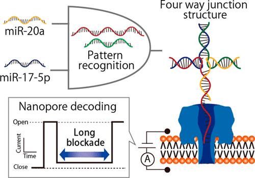 DNAs autonomously recognized two microRNAs, miR-20a and miR-17-5p, and formed a four-way junction structure that was captured in the nanopore, showing long blocking currents. @ Figure adapted with permission from Anal. Chem., 2018, 90 (14), pp 8531-8537. Copyright © 2018 American Chemical Society