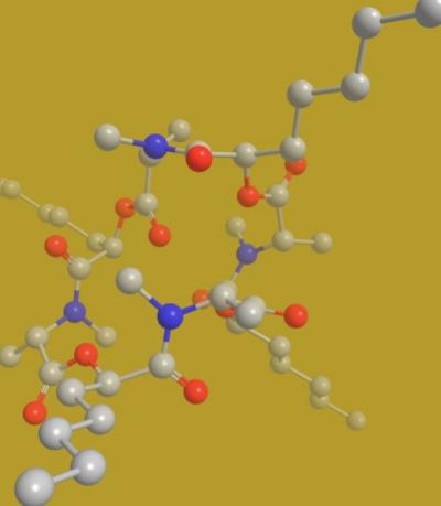 Verticilide is a cyclic depsipeptide that is used as a biopesticide. Gray spheres represent carbon atoms, red represents oxygen atoms and blue represents nitrogen atoms. @ Johnston lab, Vanderbilt University
