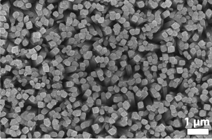 A photo shows an array of titanium dioxide nanorods with an even coating of an iron, manganese and phosphorus catalyst. The combination developed by scientists at Rice University and the University of Houston is a highly efficient photoanode for artificial photosynthesis. @ Whitmire Research Group/Rice University